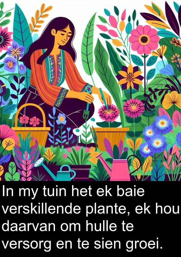 verskillende: In my tuin het ek baie verskillende plante, ek hou daarvan om hulle te versorg en te sien groei.
