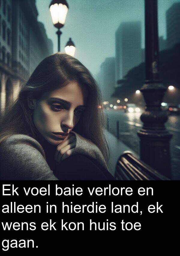 wens: Ek voel baie verlore en alleen in hierdie land, ek wens ek kon huis toe gaan.