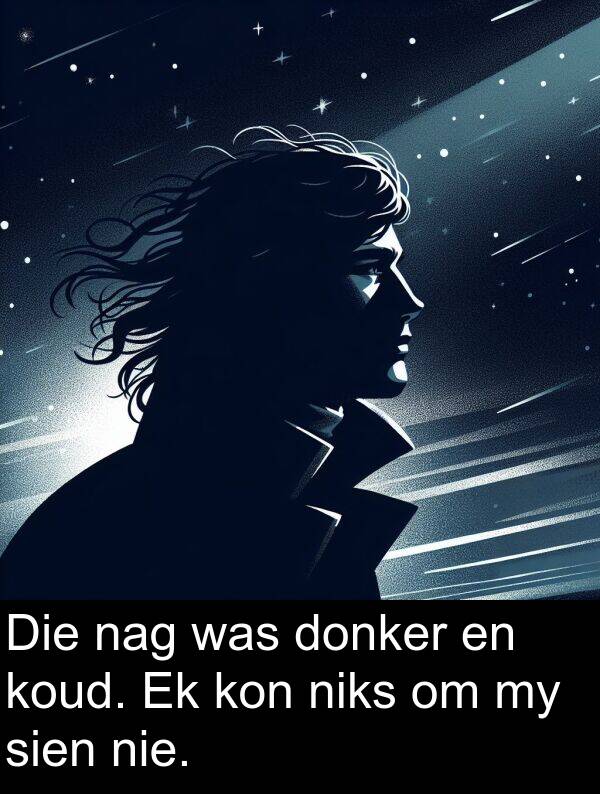 niks: Die nag was donker en koud. Ek kon niks om my sien nie.
