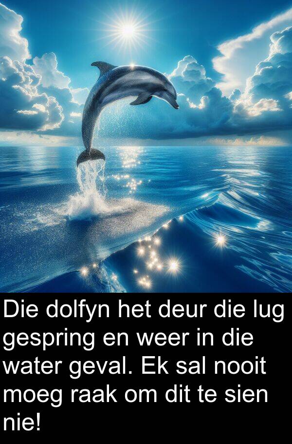 raak: Die dolfyn het deur die lug gespring en weer in die water geval. Ek sal nooit moeg raak om dit te sien nie!