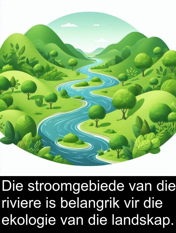 riviere: Die stroomgebiede van die riviere is belangrik vir die ekologie van die landskap.