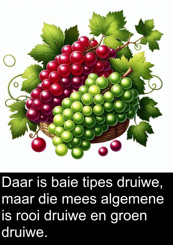 rooi: Daar is baie tipes druiwe, maar die mees algemene is rooi druiwe en groen druiwe.