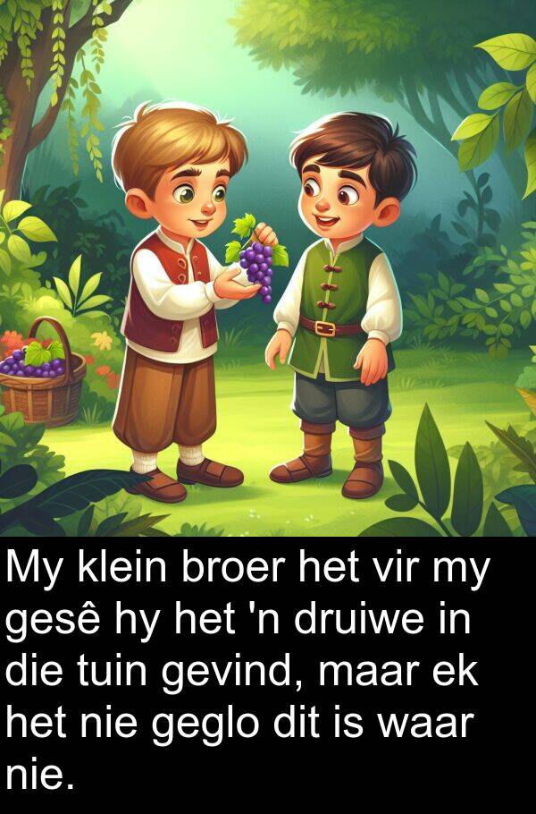 waar: My klein broer het vir my gesê hy het 'n druiwe in die tuin gevind, maar ek het nie geglo dit is waar nie.