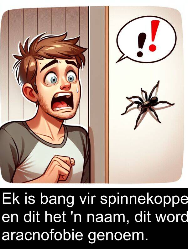 naam: Ek is bang vir spinnekoppe en dit het 'n naam, dit word aracnofobie genoem.