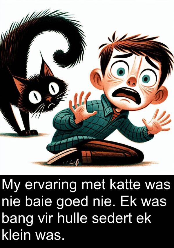 sedert: My ervaring met katte was nie baie goed nie. Ek was bang vir hulle sedert ek klein was.