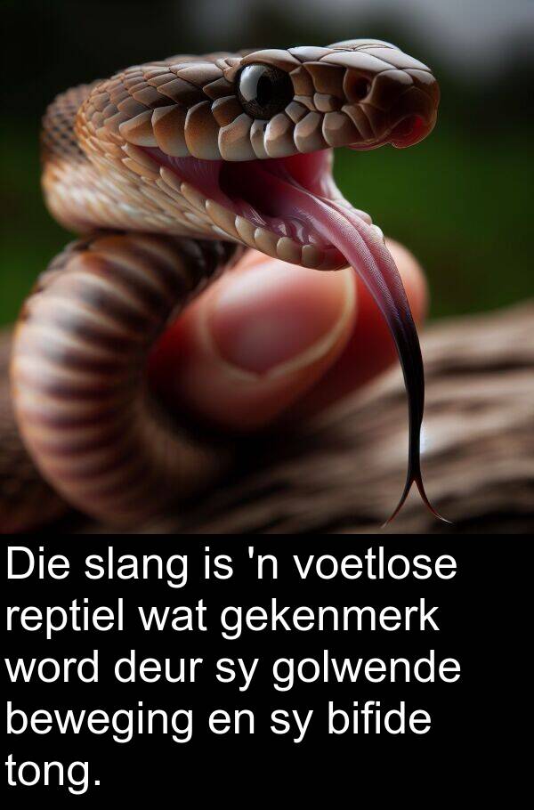 gekenmerk: Die slang is 'n voetlose reptiel wat gekenmerk word deur sy golwende beweging en sy bifide tong.