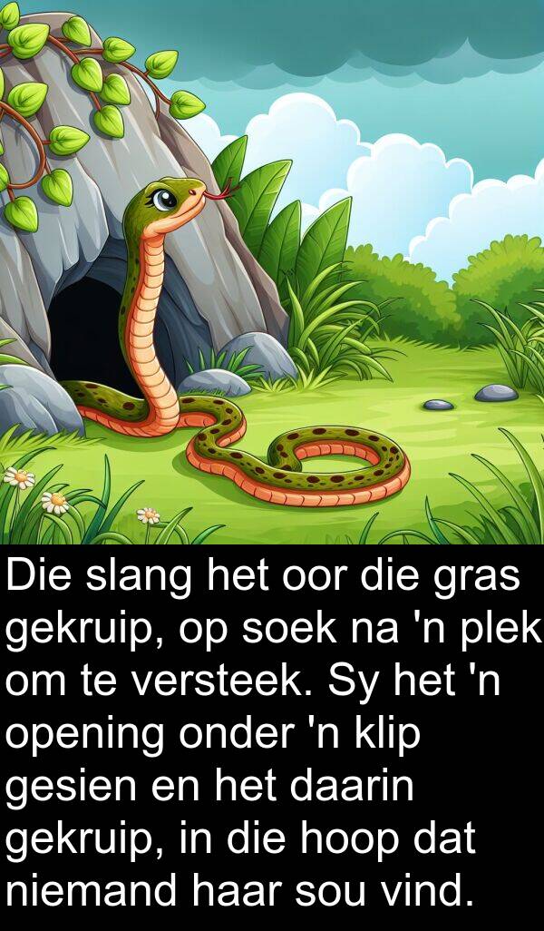 daarin: Die slang het oor die gras gekruip, op soek na 'n plek om te versteek. Sy het 'n opening onder 'n klip gesien en het daarin gekruip, in die hoop dat niemand haar sou vind.
