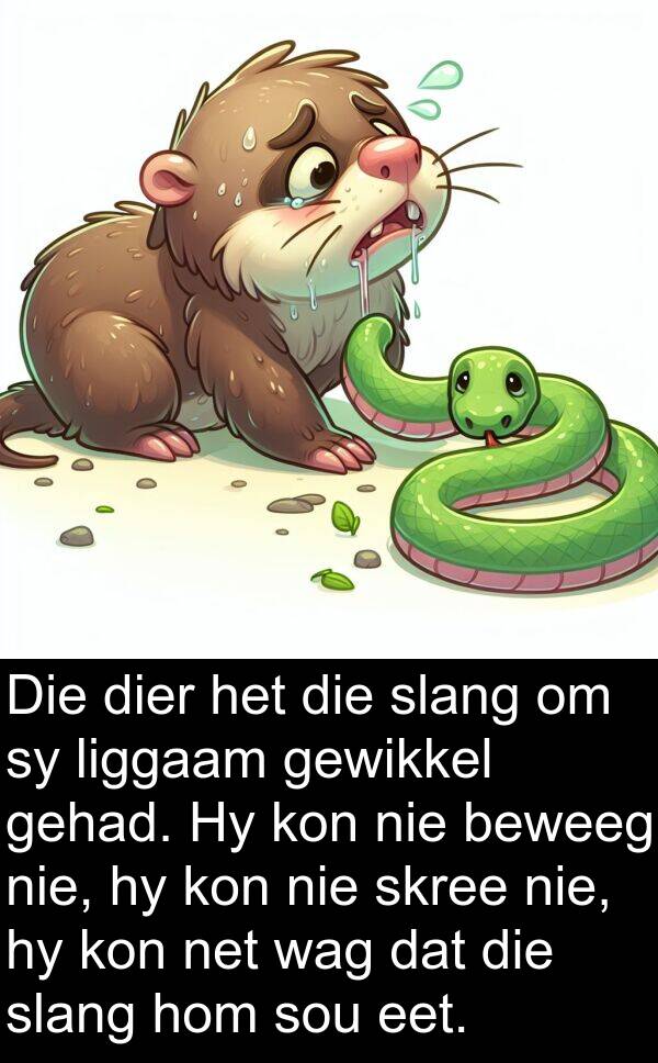liggaam: Die dier het die slang om sy liggaam gewikkel gehad. Hy kon nie beweeg nie, hy kon nie skree nie, hy kon net wag dat die slang hom sou eet.