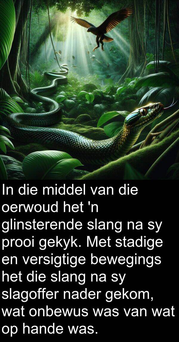 gekyk: In die middel van die oerwoud het 'n glinsterende slang na sy prooi gekyk. Met stadige en versigtige bewegings het die slang na sy slagoffer nader gekom, wat onbewus was van wat op hande was.