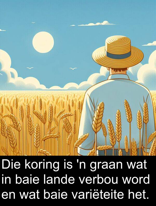 lande: Die koring is 'n graan wat in baie lande verbou word en wat baie variëteite het.