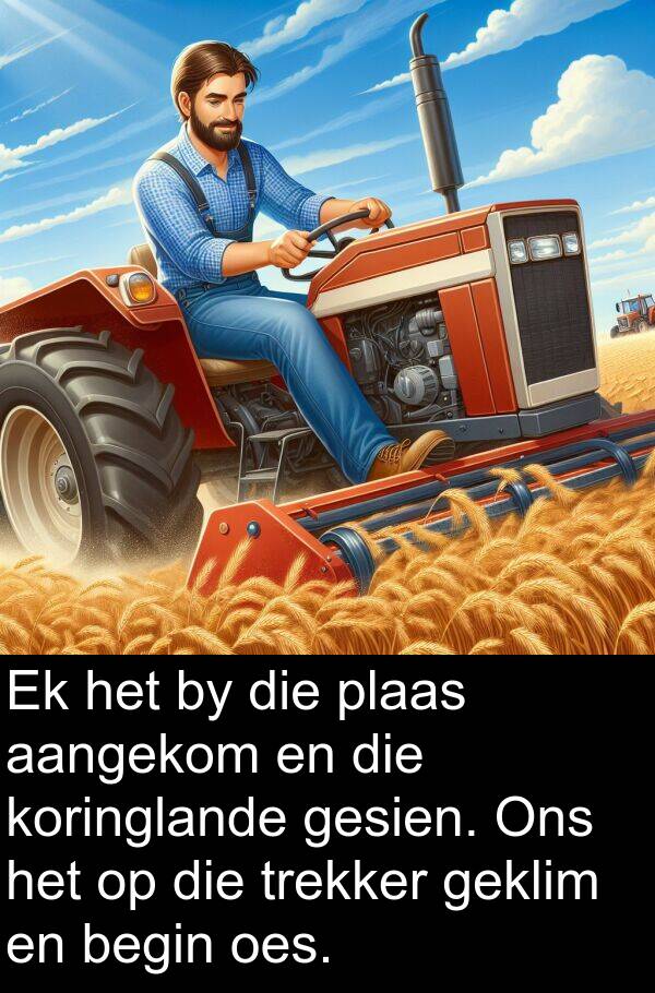 geklim: Ek het by die plaas aangekom en die koringlande gesien. Ons het op die trekker geklim en begin oes.