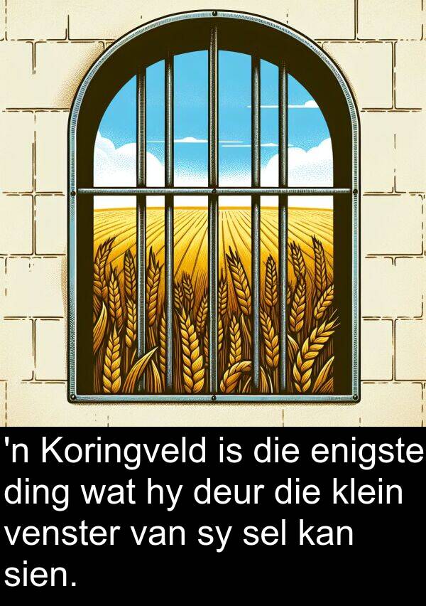ding: 'n Koringveld is die enigste ding wat hy deur die klein venster van sy sel kan sien.