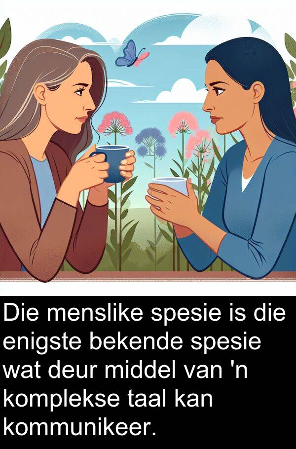 bekende: Die menslike spesie is die enigste bekende spesie wat deur middel van 'n komplekse taal kan kommunikeer.