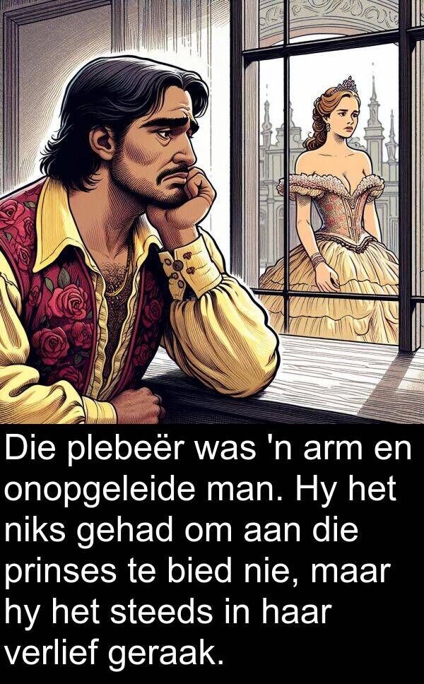 niks: Die plebeër was 'n arm en onopgeleide man. Hy het niks gehad om aan die prinses te bied nie, maar hy het steeds in haar verlief geraak.