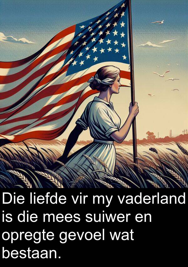 mees: Die liefde vir my vaderland is die mees suiwer en opregte gevoel wat bestaan.