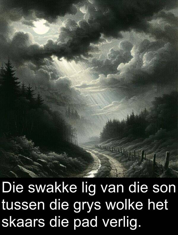 wolke: Die swakke lig van die son tussen die grys wolke het skaars die pad verlig.