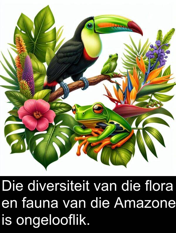 ongelooflik: Die diversiteit van die flora en fauna van die Amazone is ongelooflik.