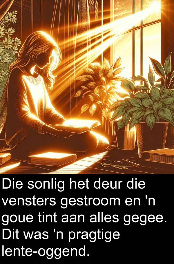 gegee: Die sonlig het deur die vensters gestroom en 'n goue tint aan alles gegee. Dit was 'n pragtige lente-oggend.