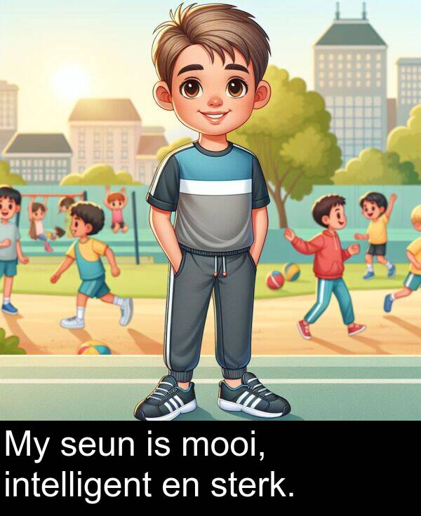 intelligent: My seun is mooi, intelligent en sterk.