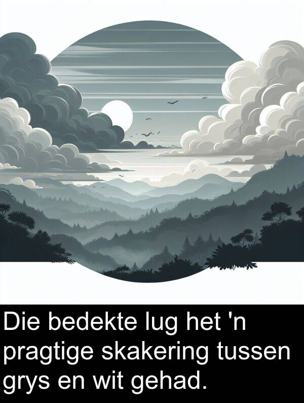gehad: Die bedekte lug het 'n pragtige skakering tussen grys en wit gehad.