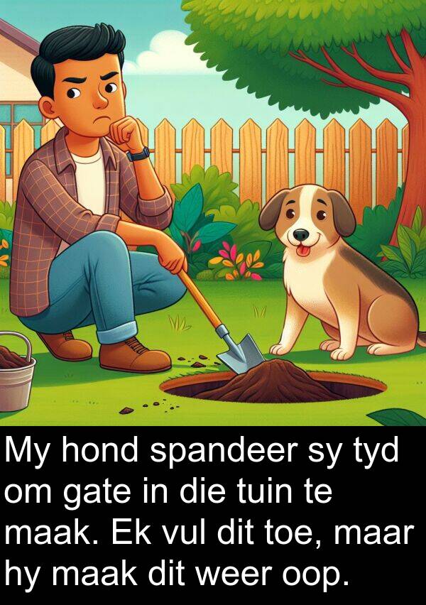 gate: My hond spandeer sy tyd om gate in die tuin te maak. Ek vul dit toe, maar hy maak dit weer oop.