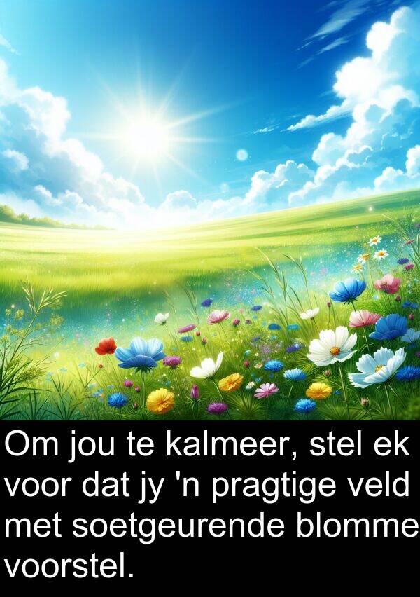 stel: Om jou te kalmeer, stel ek voor dat jy 'n pragtige veld met soetgeurende blomme voorstel.