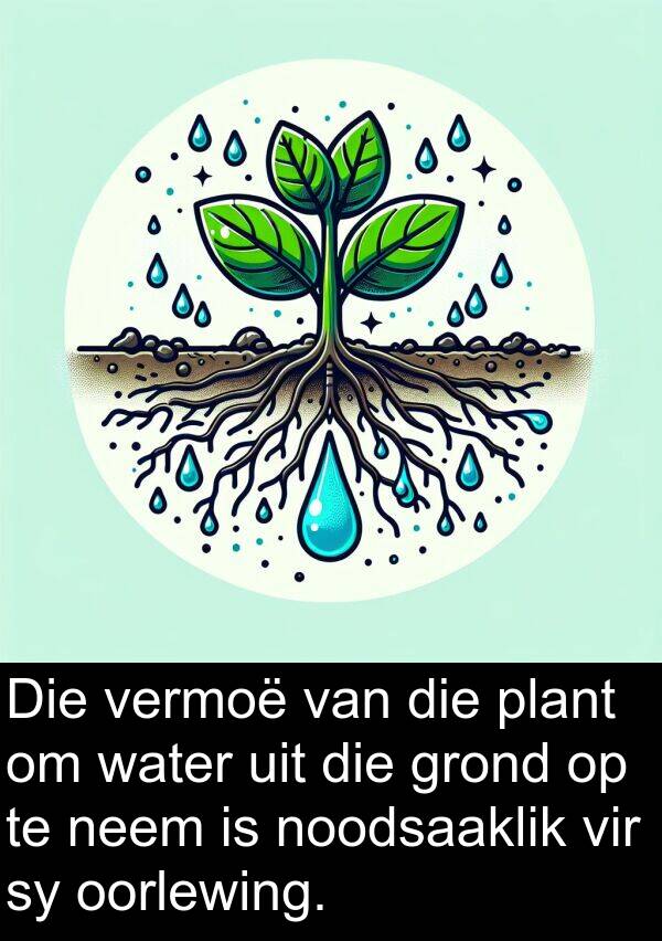 plant: Die vermoë van die plant om water uit die grond op te neem is noodsaaklik vir sy oorlewing.