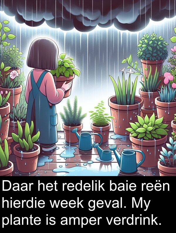 redelik: Daar het redelik baie reën hierdie week geval. My plante is amper verdrink.