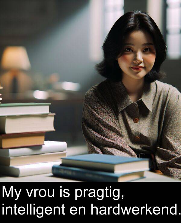 intelligent: My vrou is pragtig, intelligent en hardwerkend.