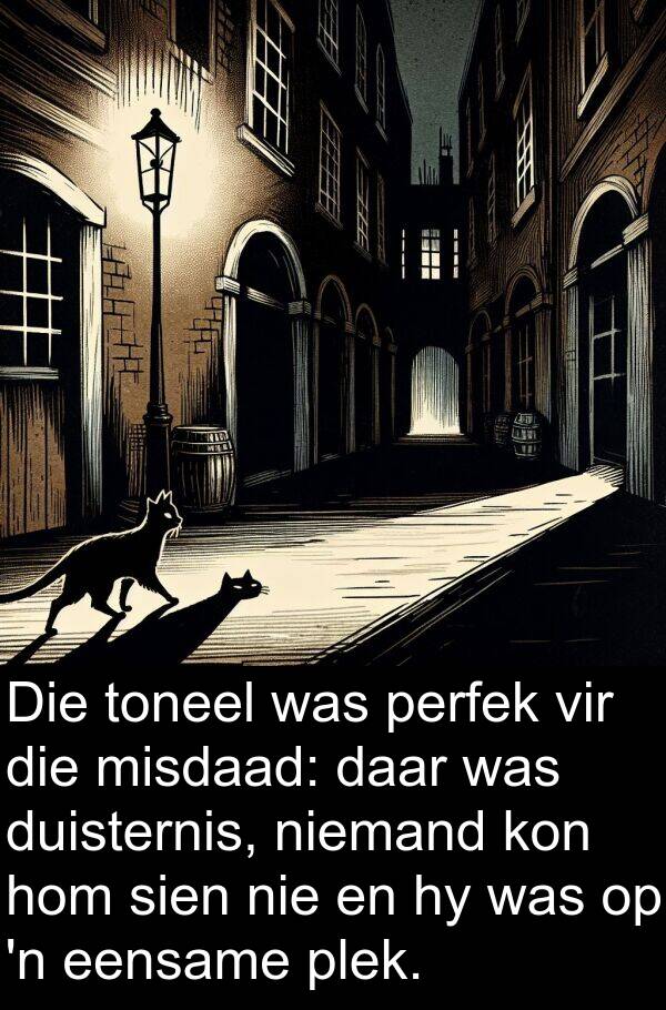 niemand: Die toneel was perfek vir die misdaad: daar was duisternis, niemand kon hom sien nie en hy was op 'n eensame plek.
