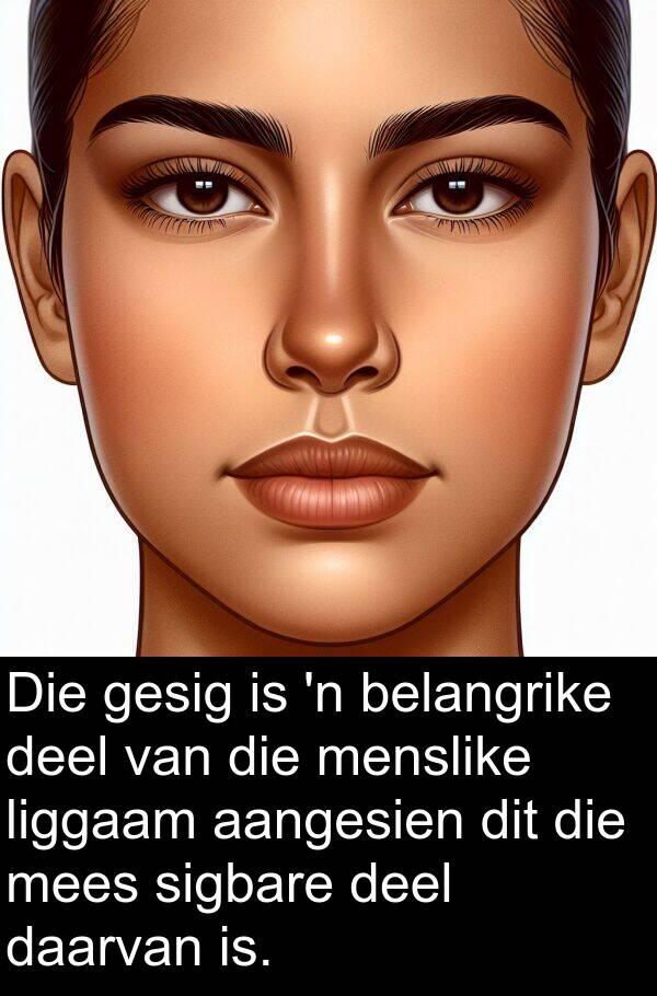 sigbare: Die gesig is 'n belangrike deel van die menslike liggaam aangesien dit die mees sigbare deel daarvan is.