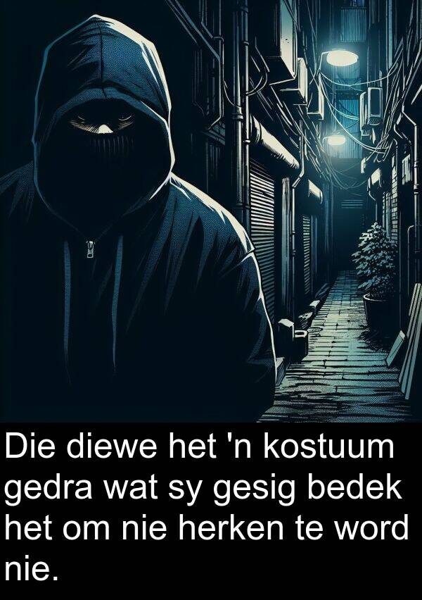 herken: Die diewe het 'n kostuum gedra wat sy gesig bedek het om nie herken te word nie.