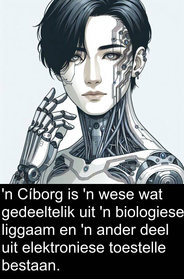 gedeeltelik: 'n Cíborg is 'n wese wat gedeeltelik uit 'n biologiese liggaam en 'n ander deel uit elektroniese toestelle bestaan.