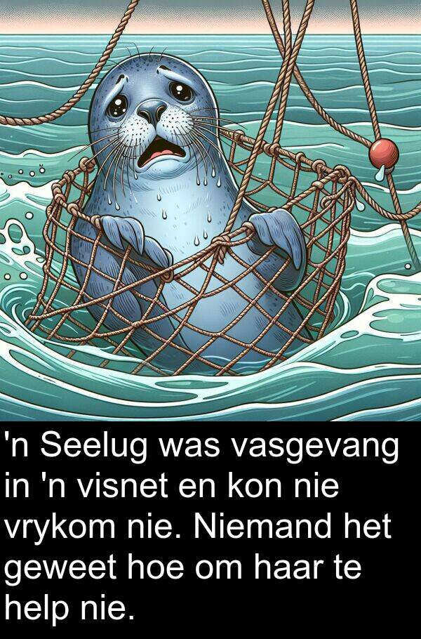 vrykom: 'n Seelug was vasgevang in 'n visnet en kon nie vrykom nie. Niemand het geweet hoe om haar te help nie.