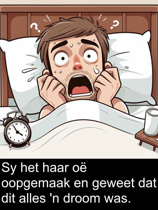 oopgemaak: Sy het haar oë oopgemaak en geweet dat dit alles 'n droom was.