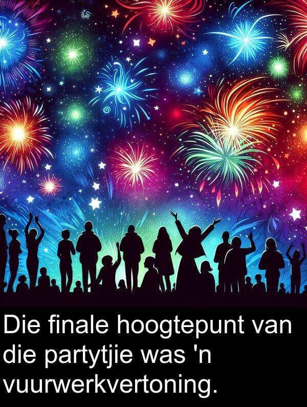 partytjie: Die finale hoogtepunt van die partytjie was 'n vuurwerkvertoning.