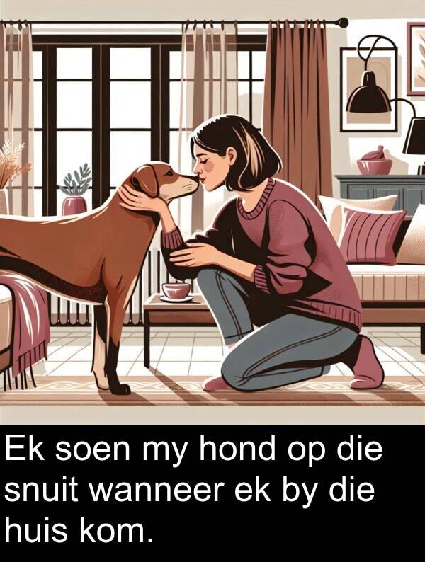 hond: Ek soen my hond op die snuit wanneer ek by die huis kom.