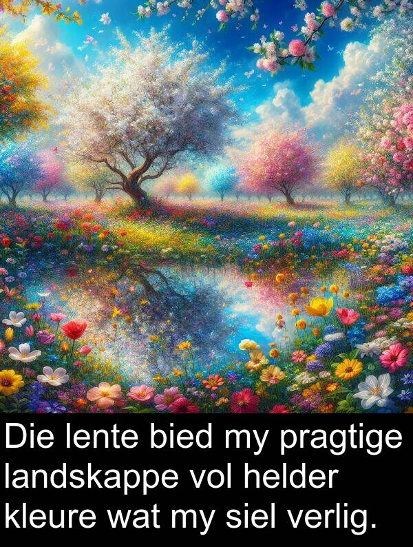 landskappe: Die lente bied my pragtige landskappe vol helder kleure wat my siel verlig.