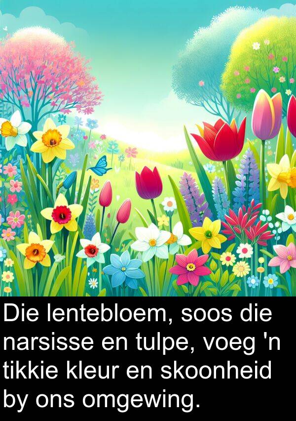 tikkie: Die lentebloem, soos die narsisse en tulpe, voeg 'n tikkie kleur en skoonheid by ons omgewing.