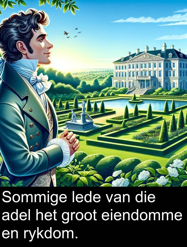 lede: Sommige lede van die adel het groot eiendomme en rykdom.