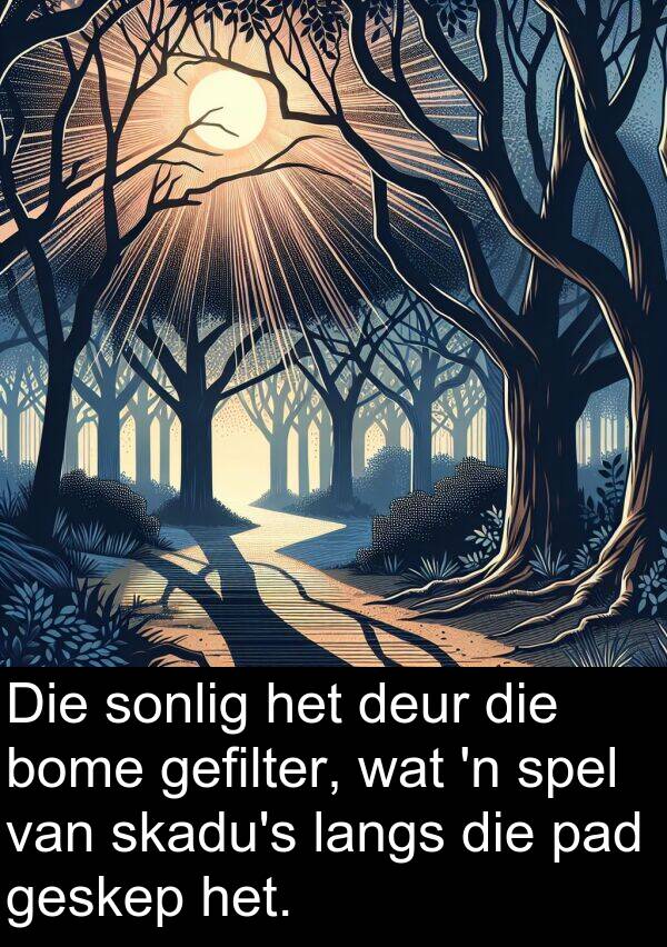gefilter: Die sonlig het deur die bome gefilter, wat 'n spel van skadu's langs die pad geskep het.