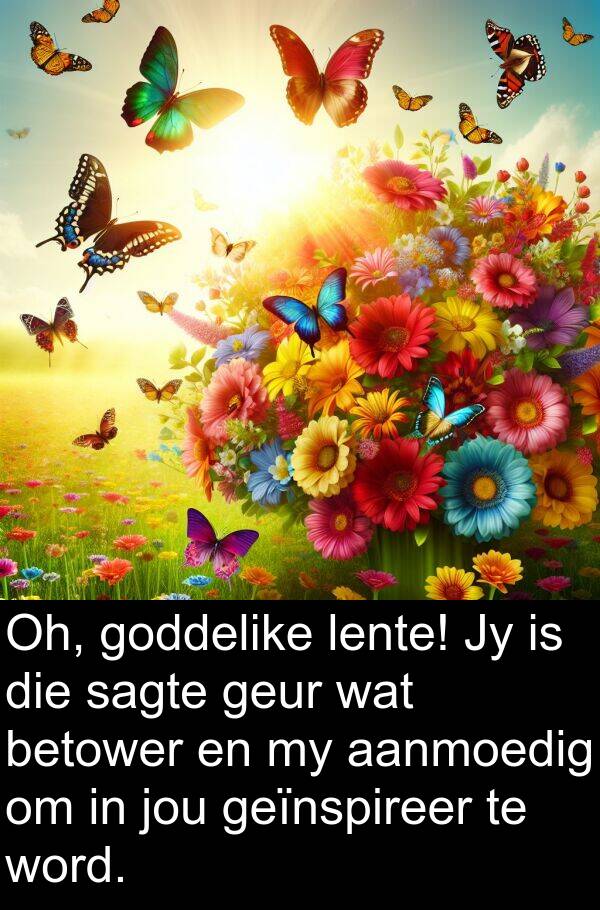 lente: Oh, goddelike lente! Jy is die sagte geur wat betower en my aanmoedig om in jou geïnspireer te word.