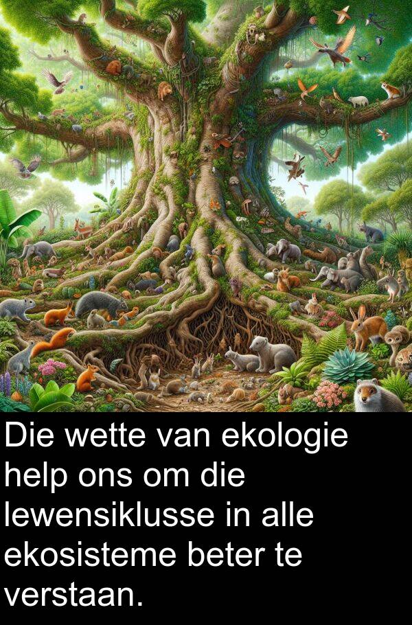 alle: Die wette van ekologie help ons om die lewensiklusse in alle ekosisteme beter te verstaan.