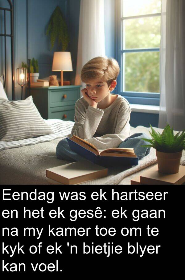 gesê: Eendag was ek hartseer en het ek gesê: ek gaan na my kamer toe om te kyk of ek 'n bietjie blyer kan voel.
