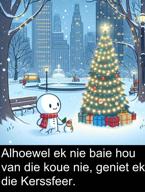 koue: Alhoewel ek nie baie hou van die koue nie, geniet ek die Kerssfeer.