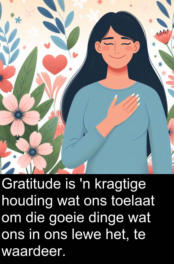 houding: Gratitude is 'n kragtige houding wat ons toelaat om die goeie dinge wat ons in ons lewe het, te waardeer.