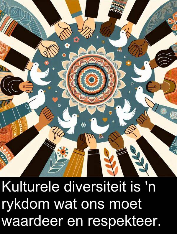 respekteer: Kulturele diversiteit is 'n rykdom wat ons moet waardeer en respekteer.