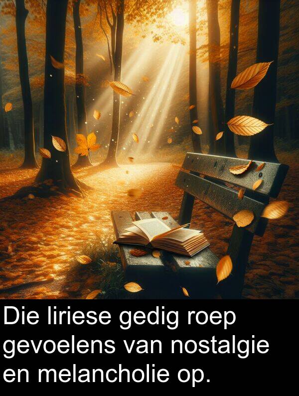 liriese: Die liriese gedig roep gevoelens van nostalgie en melancholie op.