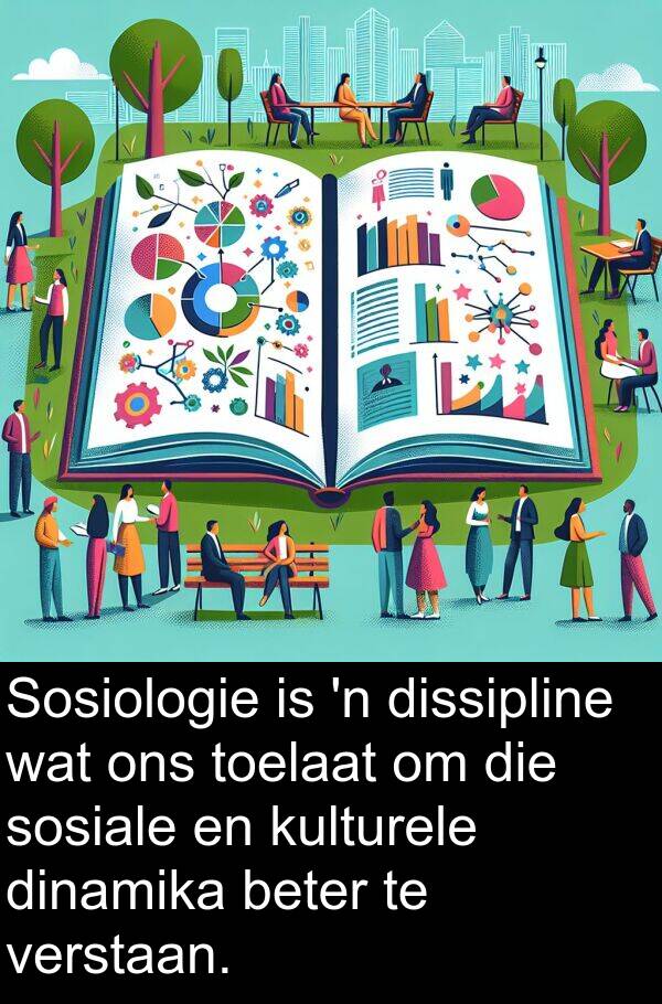 dissipline: Sosiologie is 'n dissipline wat ons toelaat om die sosiale en kulturele dinamika beter te verstaan.