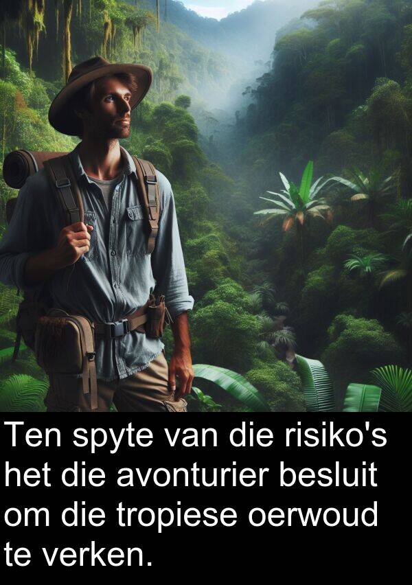 oerwoud: Ten spyte van die risiko's het die avonturier besluit om die tropiese oerwoud te verken.